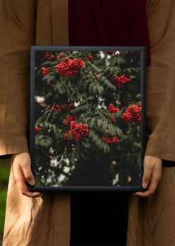 plakat s motivem vereris