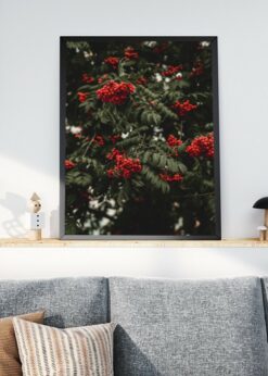 plakat s motivem vereris