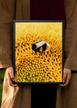 plakat s motivem volaphe