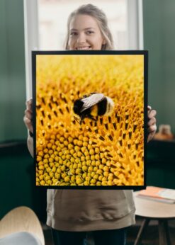 plakat s motivem volaphe