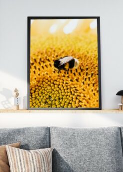 plakat s motivem volaphe