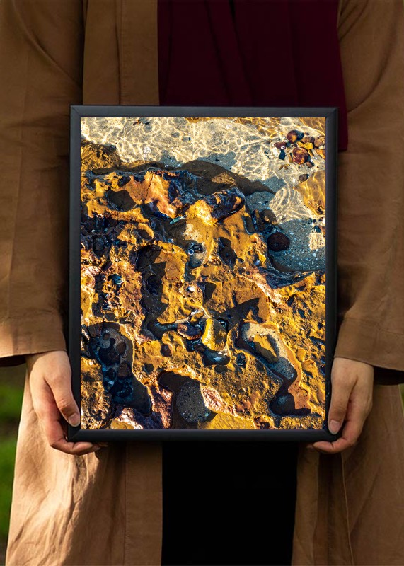 plakat s motivem volophis