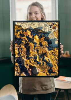 plakat s motivem volophis