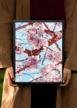 plakat s motivem xyniphis