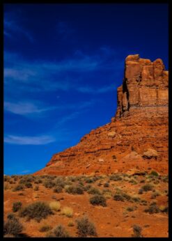 plakat s motivem zeralle