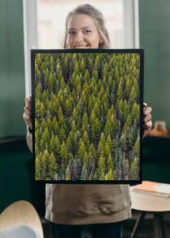 plakat s motivem Hellevis