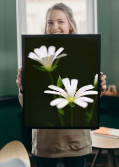 plakat s motivem Icynene