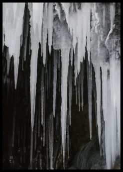 plakat s motivem Illasis