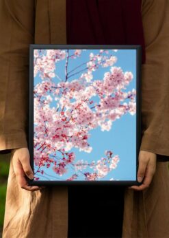 plakat s motivem Laero