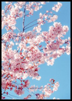 plakat s motivem Laero