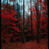 plakat s motivem Linephise