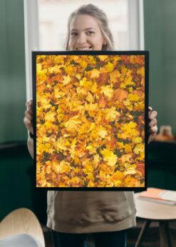 plakat s motivem Lyselle