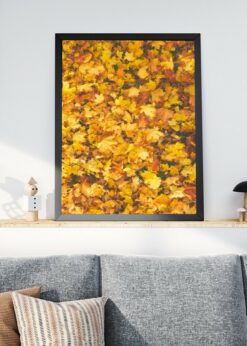 plakat s motivem Lyselle